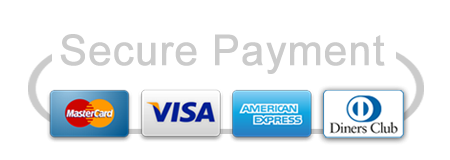 secure payment with credit cards